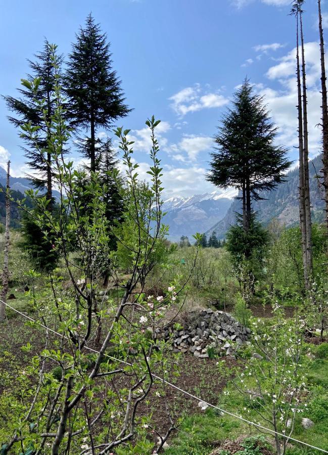 Getaway Stays Manali Esterno foto